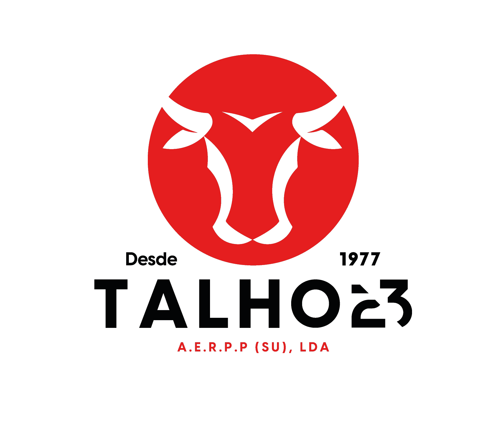 Talho 23